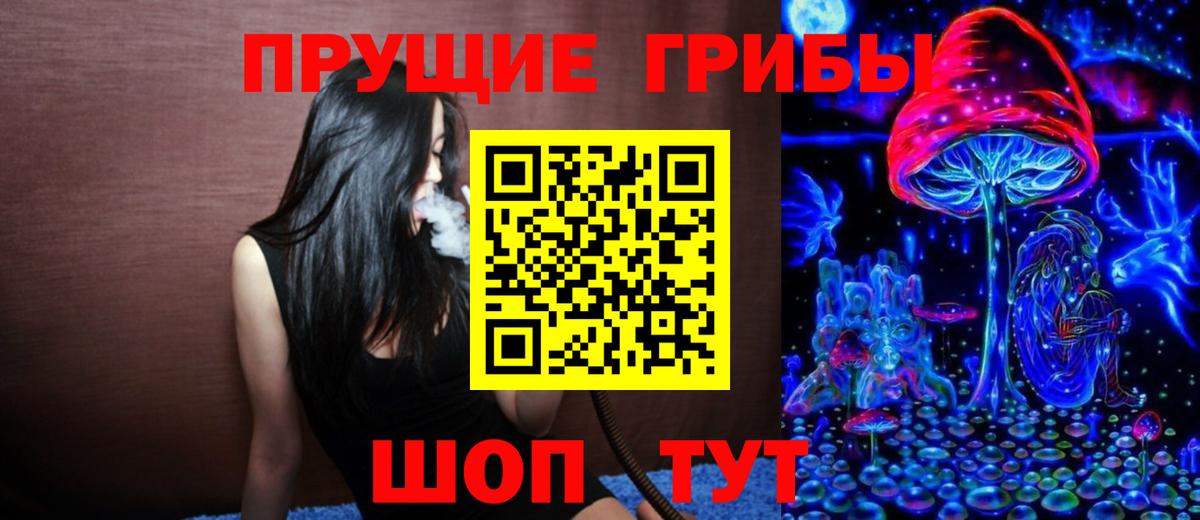 Троицк  Галлюциногенные грибы прущие грибы  Вход с VPN 
